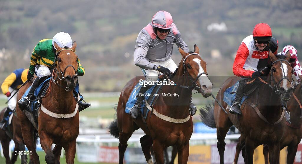 10 March 2009; Punjabi, with Barry Geraghty up, centre, on their way to winning the Smurfit Kappa Champion Hurdle from eventual second Celestial Halo, with Ruby Walsh up, right, and eventual third Binocular, with Tony McCoy up. Cheltenham Racing Festival, Prestbury Park, Cheltenham, Gloucestershire, England. Picture credit: Stephen McCarthy / SPORTSFILE