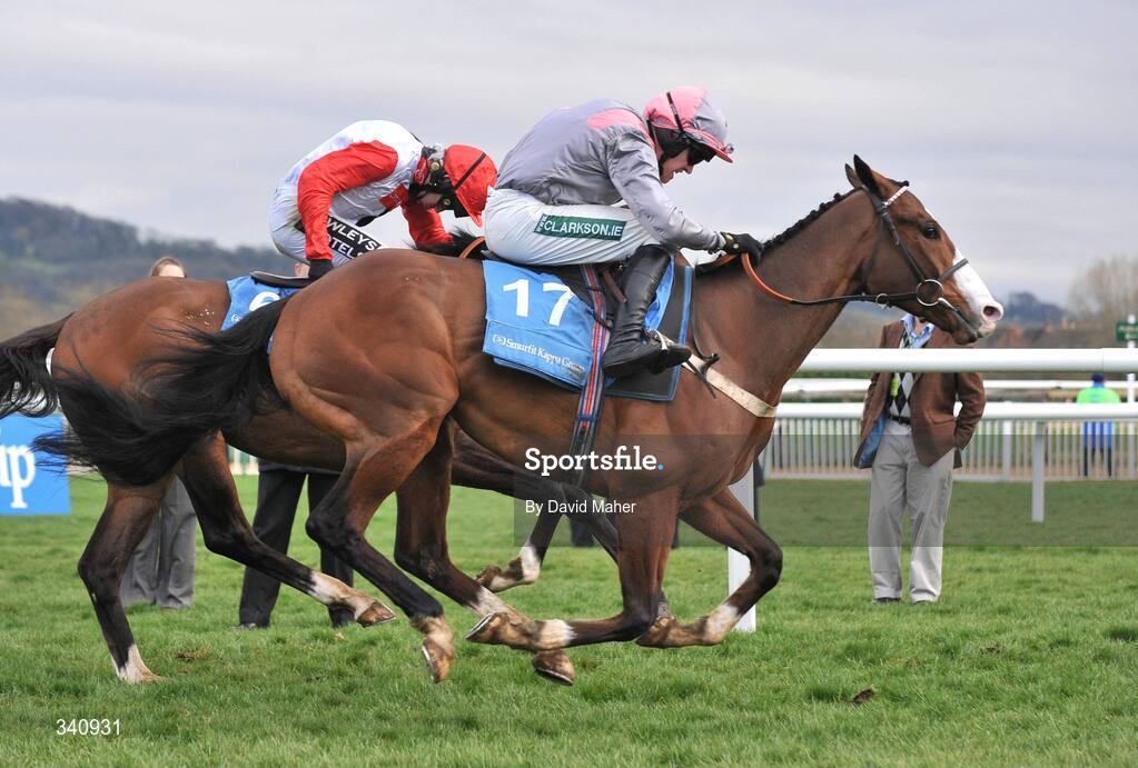10 March 2009; Punjabi, with Barry Geraghty up, 17, on their way to winning the Smurfit Kappa Champion Hurdle from eventual second Celestial Halo, with Ruby Walsh up. Cheltenham Racing Festival, Prestbury Park, Cheltenham, Gloucestershire, England. Picture credit: David Maher / SPORTSFILE
