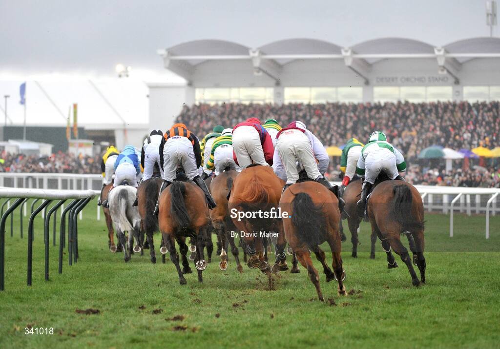 10 March 2009; A general view of the runners and riders during the William Hill Trophy Handicap Chase. Cheltenham Racing Festival, Prestbury Park, Cheltenham, Gloucestershire, England. Picture credit: David Maher / SPORTSFILE
