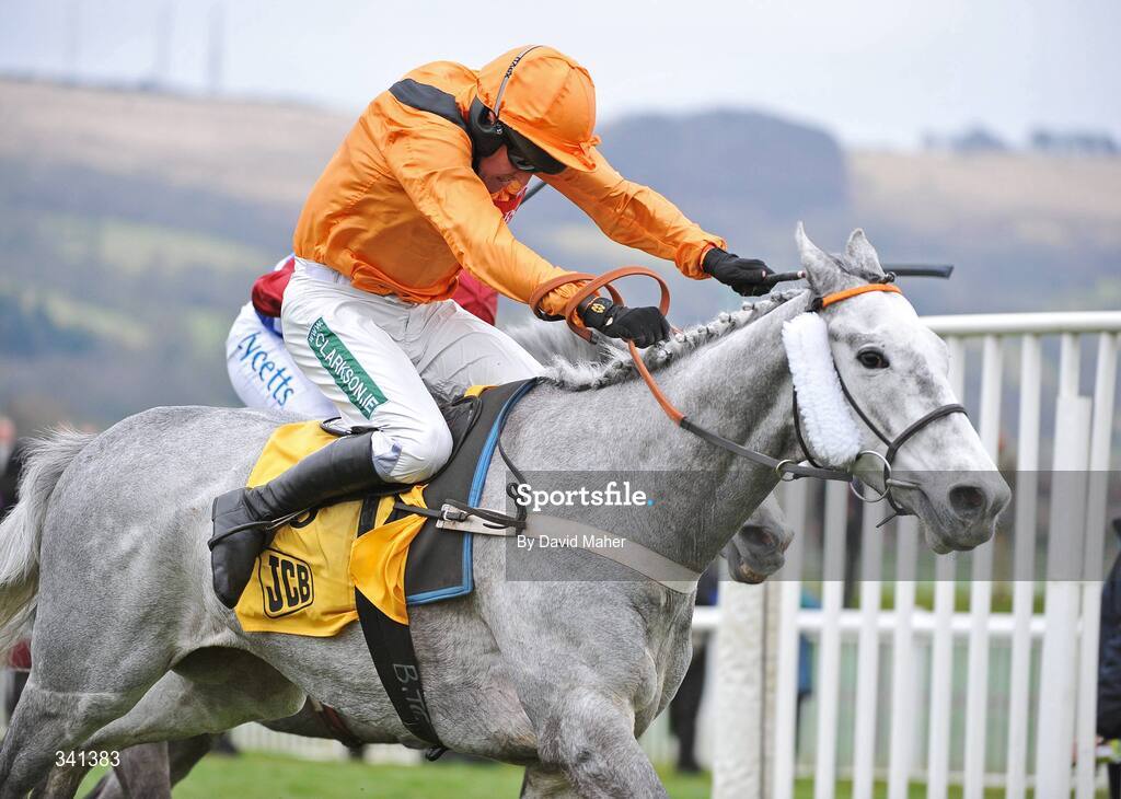 13 March 2009; Zaynar, with Barry Geraghty up, on their way to winning the JCB Triumph Hurdle Race. Cheltenham Racing Festival - Friday. Prestbury Park, Cheltenham, Gloucestershire, England. Picture credit: David Maher / SPORTSFILE
