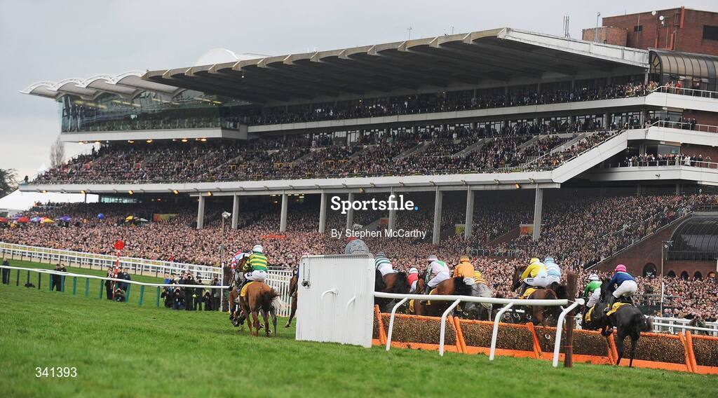 13 March 2009; A general view of the runners and riders during the JCB Triumph Hurdle Race. Cheltenham Racing Festival - Friday. Prestbury Park, Cheltenham, Gloucestershire, England. Picture credit: Stephen McCarthy / SPORTSFILE