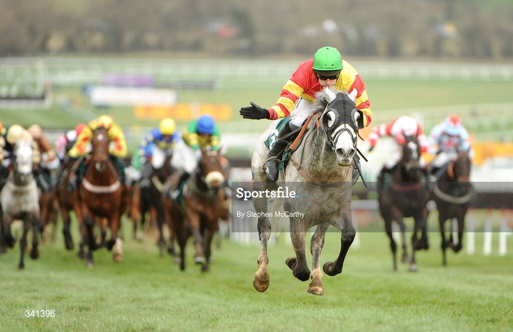 13 March 2009; Jockey Ruby Walsh congratulates his mount, American Trilogy, on the way to winning the Vincent O'Brien County Handicap Hurdle Race. Cheltenham Racing Festival - Friday. Prestbury Park, Cheltenham, Gloucestershire, England. Picture credit: Stephen McCarthy / SPORTSFILE