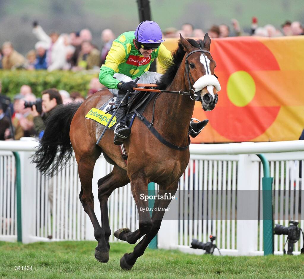 13 March 2009; Kauto Star, with Ruby Walsh up, on their way to winning the totesport Cheltenham Gold Cup Steeple Chase. Cheltenham Racing Festival - Friday. Prestbury Park, Cheltenham, Gloucestershire, England. Picture credit: David Maher / SPORTSFILE
