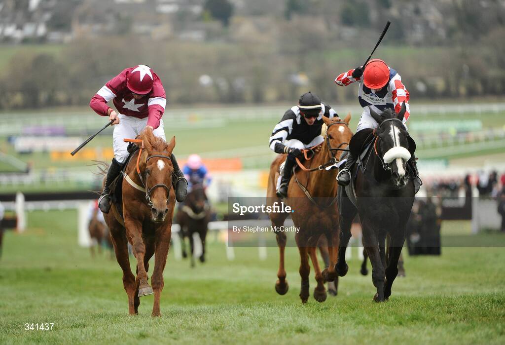 13 March 2009; Weapon's Amnesty, with Davy Russell up,  left, on their way to winning the totesport Cheltenham Gold Cup Steeple Chase, from eventual second Pride of Dulcote, with Ruby Walsh up, and eventual third The Midnight Club, with Emmet Mullins up. Cheltenham Racing Festival - Friday. Prestbury Park, Cheltenham, Gloucestershire, England. Picture credit: Stephen McCarthy / SPORTSFILE