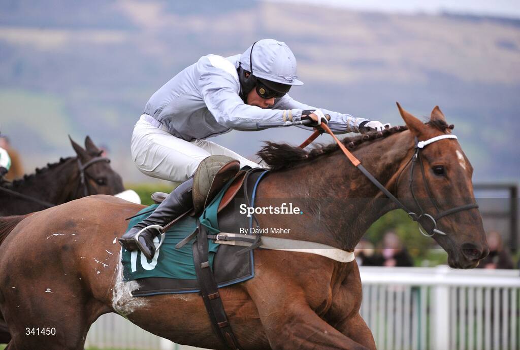 13 March 2009; Andytown, with Felix de Giles up, on their way to winning the Martin Pipe Conditional Jockeys' Handicap Hurdle Race. Cheltenham Racing Festival - Friday. Prestbury Park, Cheltenham, Gloucestershire, England. Picture credit: David Maher / SPORTSFILE