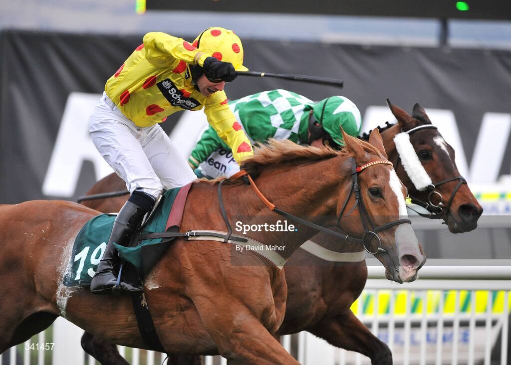 13 March 2009; Oh Crick, with Wayne Hutchinson up, on their way to winning the Johnny Henderson Grand Annual Steeple Chase Challenge Cup. Cheltenham Racing Festival - Friday. Prestbury Park, Cheltenham, Gloucestershire, England. Picture credit: David Maher / SPORTSFILE