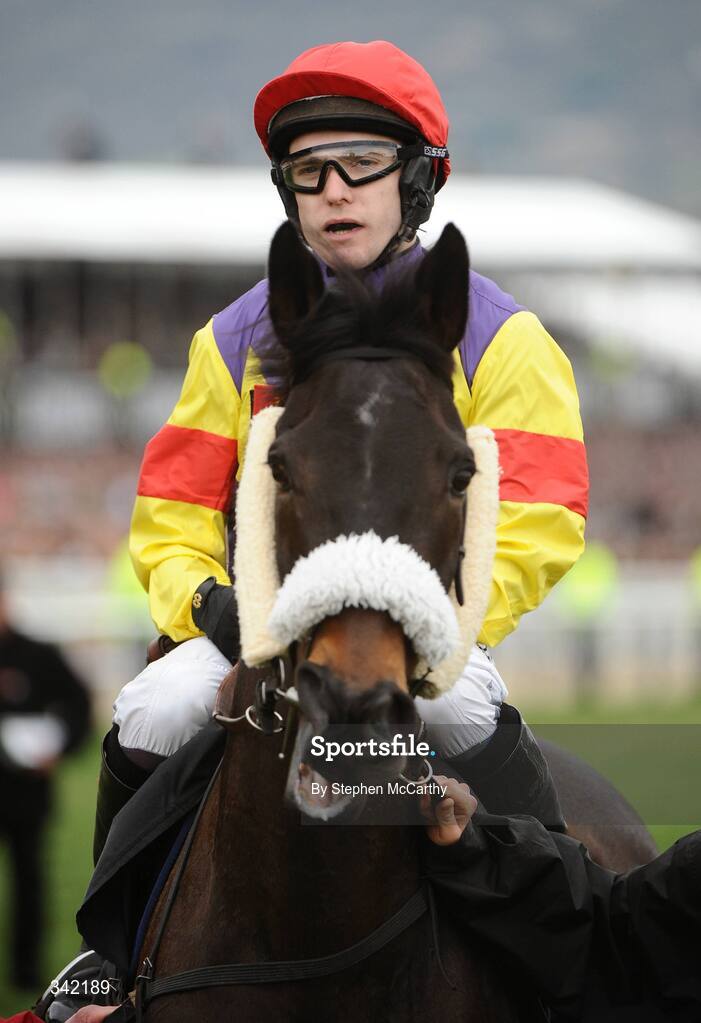 13 March 2009; Madison Du Berlais, with Tom Scudamore up, before the totesport Cheltenham Gold Cup Steeple Chase. Cheltenham Racing Festival, Prestbury Park, Cheltenham, Gloucestershire, England. Picture credit: Stephen McCarthy / SPORTSFILE