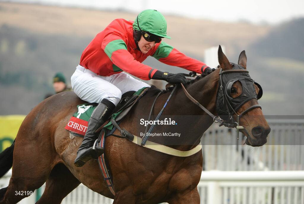 13 March 2009; Back Nine, with Sam Allwood up, during the Christie's Foxhunter Steeple Chase Challenge Cup. Cheltenham Racing Festival, Prestbury Park, Cheltenham, Gloucestershire, England. Picture credit: Stephen McCarthy / SPORTSFILE