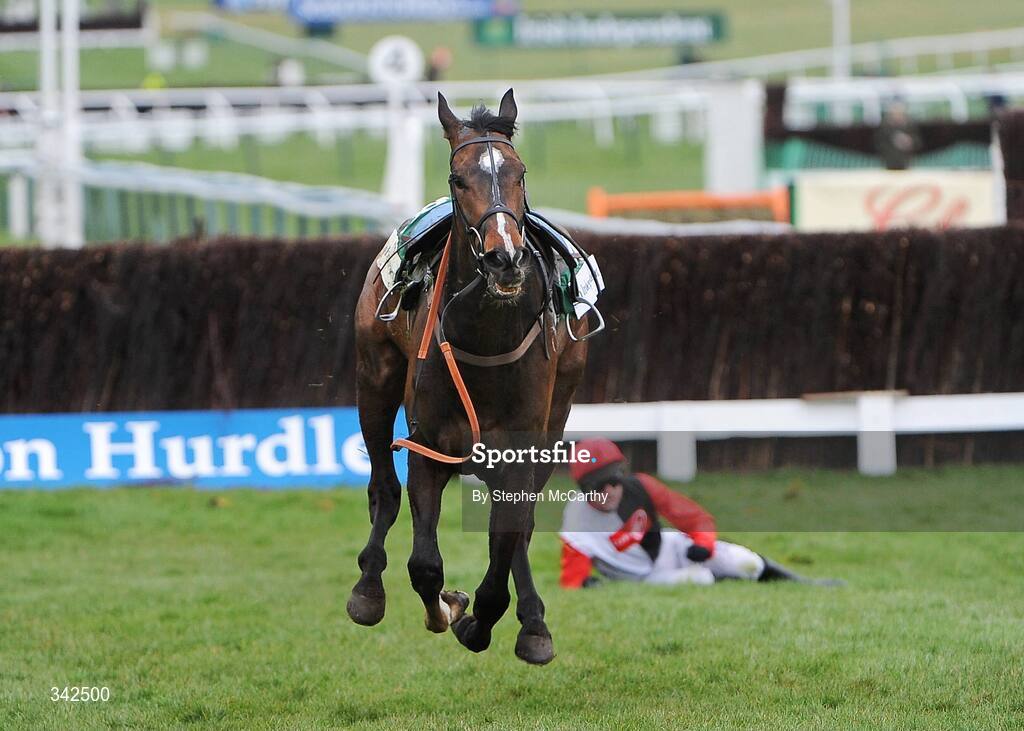 10 March 2009; Tatenen races away after unseating his jockey Ruby Walsh up during the williamhill.com Supreme Novices' Hurdle. Cheltenham Racing Festival - Tuesday, Prestbury Park, Cheltenham, Gloucestershire, England. Picture credit: Stephen McCarthy / SPORTSFILE