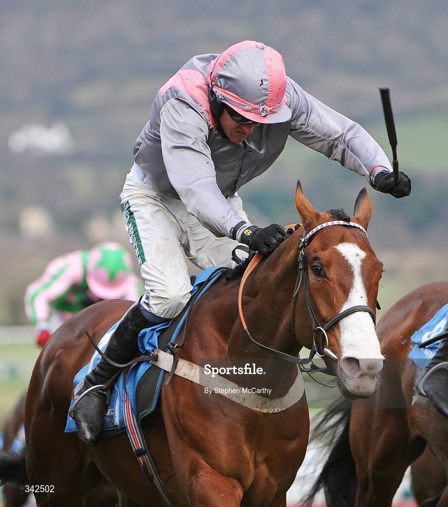 10 March 2009; Punjabi, with Barry Geraghty up, on their way to winning the Smurfit Kappa Champion Hurdle. Cheltenham Racing Festival - Tuesday, Prestbury Park, Cheltenham, Gloucestershire, England. Picture credit: Stephen McCarthy / SPORTSFILE