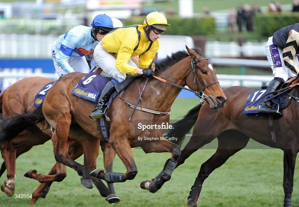 10 March 2009; Cousin Vinny, with Paddy Mullins up, during the williamhill.com Supreme Novices' Hurdle. Cheltenham Racing Festival - Tuesday, Prestbury Park, Cheltenham, Gloucestershire, England. Picture credit: Stephen McCarthy / SPORTSFILE