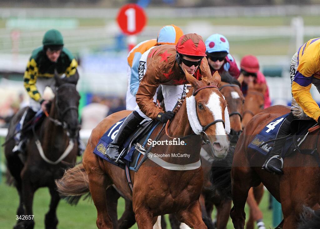 10 March 2009; Oedipe, with Andrew Tinkler up, during the William Hill Trophy Handicap Chase. Cheltenham Racing Festival - Tuesday, Prestbury Park, Cheltenham, Gloucestershire, England. Picture credit: Stephen McCarthy / SPORTSFILE