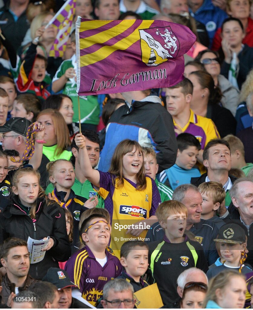 12 September 2015; Wexford supporters cheer on their side. Bord Gais Energy GAA Hurling All-Ireland U21 Championship Final, Limerick v Wexford, Semple Stadium, Thurles, Co. Tipperary. Picture credit: Brendan Moran / SPORTSFILE