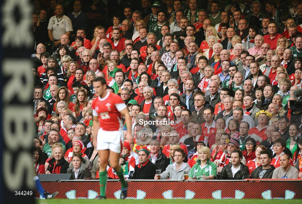 21 March 2009; Supporters watch on during the game. RBS Six Nations Championship, Wales v Ireland, Millennium Stadium, Cardiff, Wales. Picture credit: Stephen McCarthy / SPORTSFILE