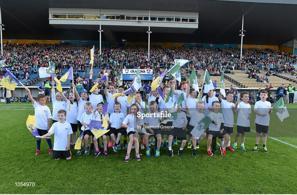 12 September 2015; Bord Gais Energy flagbearers before the game. Bord Gais Energy GAA Hurling All-Ireland U21 Championship Final, Limerick v Wexford, Semple Stadium, Thurles, Co. Tipperary. Picture credit: Diarmuid Greene / SPORTSFILE