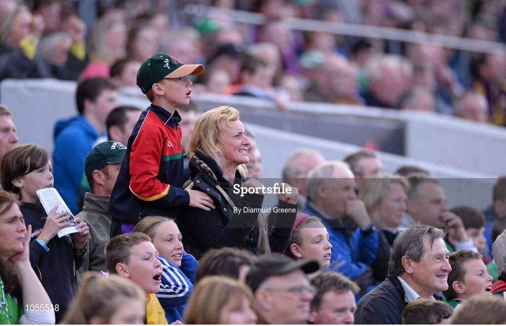 12 September 2015; Supporters react during the game. Bord Gais Energy GAA Hurling All-Ireland U21 Championship Final, Limerick v Wexford, Semple Stadium, Thurles, Co. Tipperary. Picture credit: Diarmuid Greene / SPORTSFILE