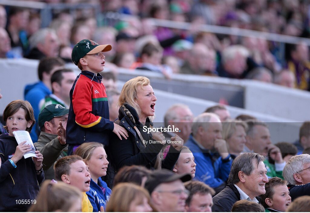 12 September 2015; Supporters react during the game. Bord Gais Energy GAA Hurling All-Ireland U21 Championship Final, Limerick v Wexford, Semple Stadium, Thurles, Co. Tipperary. Picture credit: Diarmuid Greene / SPORTSFILE