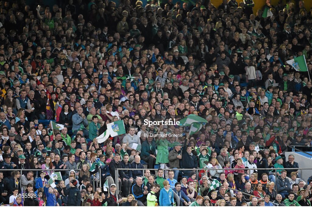 12 September 2015; Limerick supporters celebrate a point during the second half. Bord Gais Energy GAA Hurling All-Ireland U21 Championship Final, Limerick v Wexford, Semple Stadium, Thurles, Co. Tipperary. Picture credit: Diarmuid Greene / SPORTSFILE