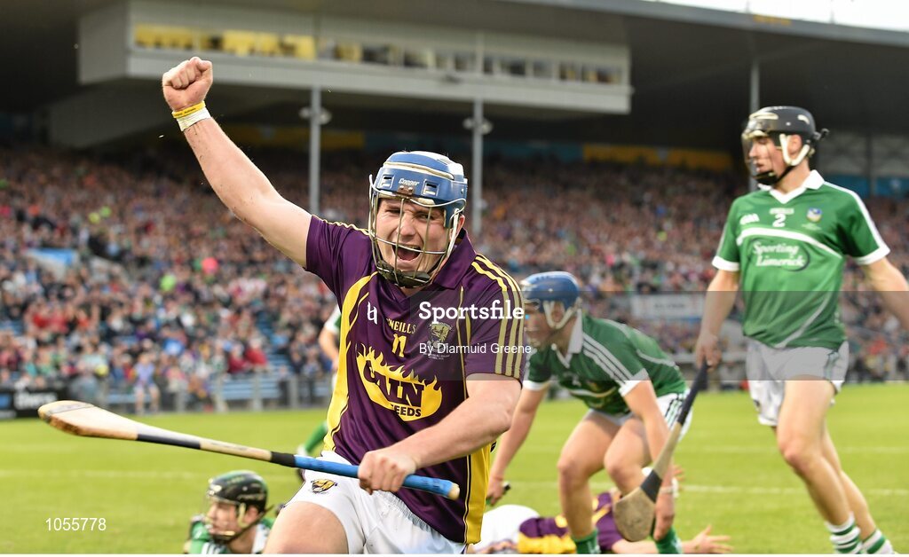 12 September 2015; Kevin Foley, Wexford, celebrates after scoring a goal which was subsequently disallowed. Bord Gais Energy GAA Hurling All-Ireland U21 Championship Final, Limerick v Wexford, Semple Stadium, Thurles, Co. Tipperary. Picture credit: Diarmuid Greene / SPORTSFILE