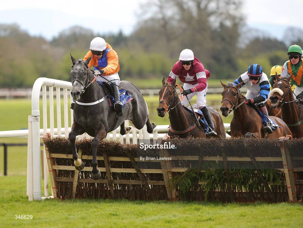 12 April 2009; Sarteano, with Roger Loughran up, clears the last on the way to winning the Lexeme Retail Novice Handicap Hurdle. Fairyhouse, Co. Meath. Picture credit: Brian Lawless / SPORTSFILE *** Local Caption ***
