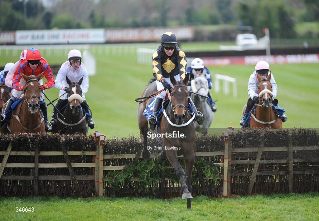 12 April 2009; Shirley Casper, with Barry Geraghty up, clears the last on the way to winning the Irish Stallion Farms European Breeders Fund Mares Novice Hurdle Championship Final. Fairyhouse, Co. Meath. Picture credit: Brian Lawless / SPORTSFILE *** Local Caption ***