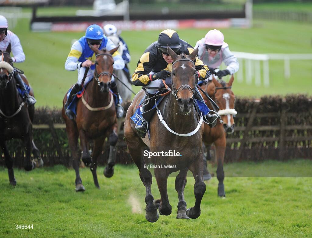 12 April 2009; Shirley Casper, with Barry Geraghty up, races clear of the last on the way to winning the Irish Stallion Farms European Breeders Fund Mares Novice Hurdle Championship Final. Fairyhouse, Co. Meath. Picture credit: Brian Lawless / SPORTSFILE *** Local Caption ***