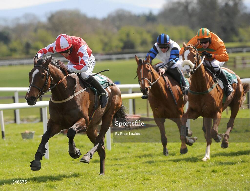 12 April 2009; Kempes, with Ruby Walsh up, races clear of the last on the way to winning the Rathbarry & Glenview Studs Novice Hurdle. Fairyhouse, Co. Meath. Picture credit: Brian Lawless / SPORTSFILE *** Local Caption ***