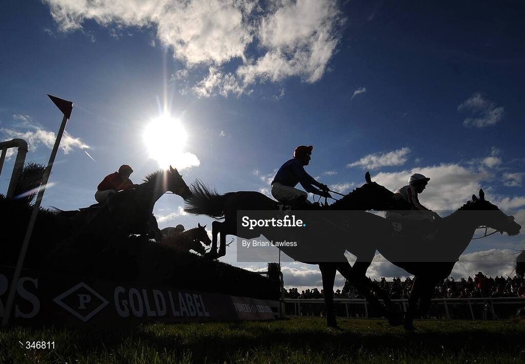 12 April 2009; The runners and riders clear the last during the Ryan's Cleaning Events Specialist Beginners Steeplechase. Fairyhouse, Co. Meath. Picture credit: Brian Lawless / SPORTSFILE