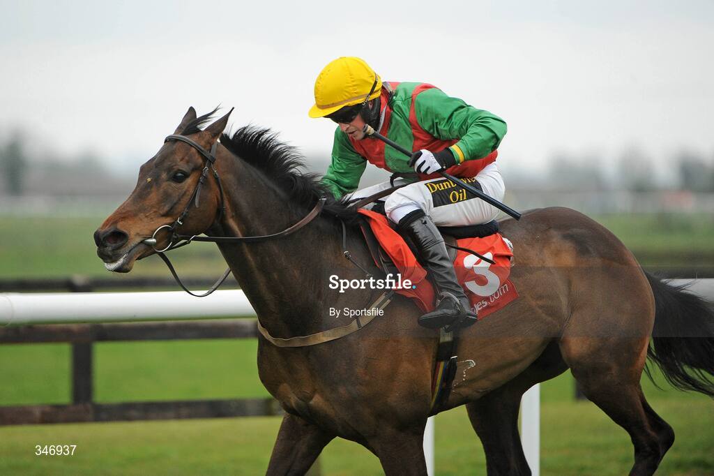 13 April 2009; Coolcashin, with Keith Clarke up, on the way to wining the Ladbrokes.com Hurdle. Fairyhouse Racecourse, Co. Meath. Photo by Sportsfile
