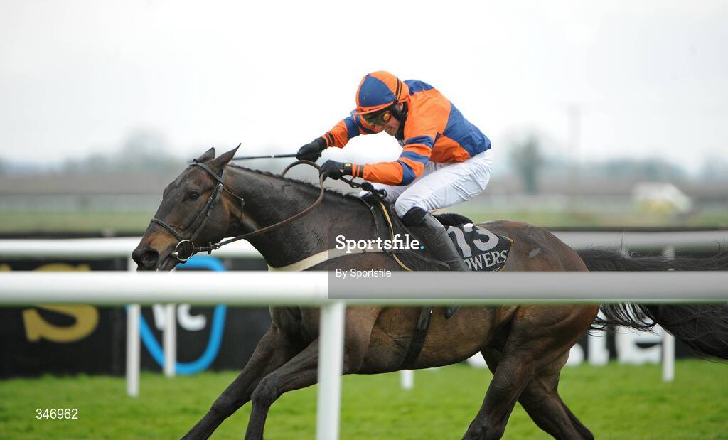 13 April 2009; Niche Market, with Harry Skelton up, on the way to winning the Powers Whiskey Irish Grand National Steeplechase. Fairyhouse Racecourse, Co. Meath. Photo by Sportsfile
