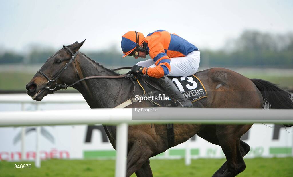 13 April 2009; Niche Market, with Harry Skelton up on the way to winning the Powers Whiskey Irish Grand National Steeplechase. Fairyhouse Racecourse, Co. Meath. Photo by Sportsfile