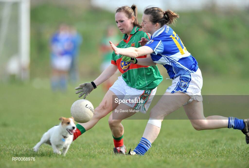 19 April 2009; Triona McNicholas, Mayo, in action against Emma McEvoy, Laois, as a dog runs onto the pitch. Bord Gais Energy Ladies National Football League, Division 1, Semi-Final, Mayo v Laois, Aughamore, Ballyhaunis, Co Mayo. Picture credit: David Maher / SPORTSFILE