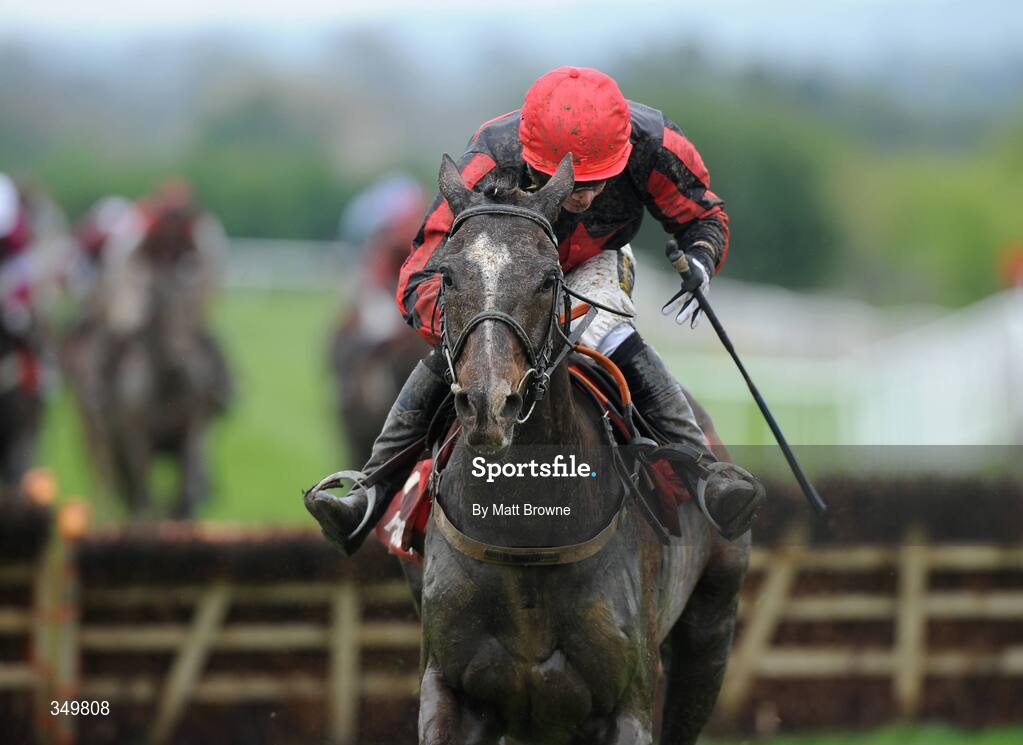 29 April 2009; Montana Slim, with Keith Clarke up, on their way to winning the Martinstown Opportunity Series Final Handicap Hurdle after jumping the last. 2009 Punchestown Irish National Hunt Festival, Punchestown Racecourse, Co. Kildare. Picture credit: Matt Browne / SPORTSFILE