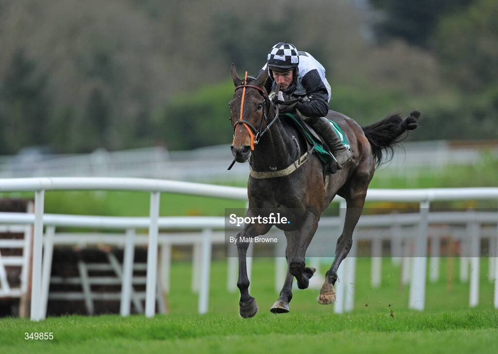 29 April 2009; Dunguib, with Brian O'Connell up, on their way to winning the Paddy Power INH Flat Race. 2009 Punchestown Irish National Hunt Festival, Punchestown Racecourse, Co. Kildare. Picture credit: Matt Browne / SPORTSFILE