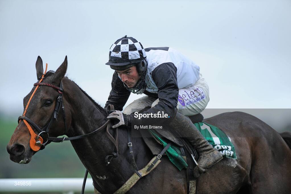 29 April 2009; Dunguib, with Brian O'Connell up, on their way to winning the Paddy Power INH Flat Race. 2009 Punchestown Irish National Hunt Festival, Punchestown Racecourse, Co. Kildare. Picture credit: Matt Browne / SPORTSFILE
