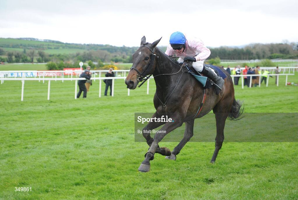 29 April 2009; Notre Pere, with Andrew Lynch up, on their way to winning the Punchestown Guinness Gold Cup after jumping the last. 2009 Punchestown Irish National Hunt Festival, Punchestown Racecourse, Co. Kildare. Picture credit: Matt Browne / SPORTSFILE