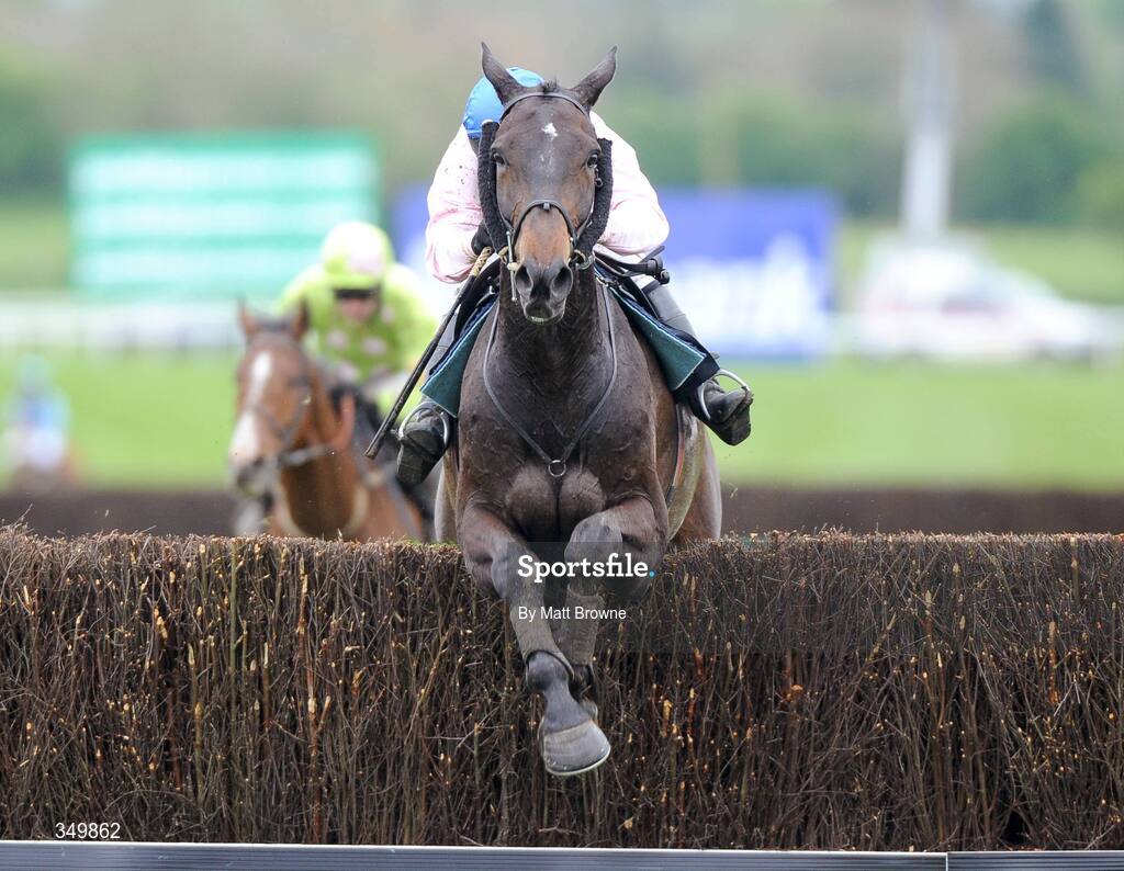 29 April 2009; Notre Pere, with Andrew Lynch up, jump the last on their way to winning the Punchestown Guinness Gold Cup. 2009 Punchestown Irish National Hunt Festival, Punchestown Racecourse, Co. Kildare. Picture credit: Matt Browne / SPORTSFILE