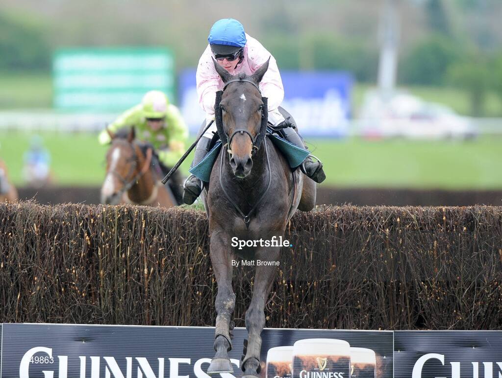 29 April 2009; Notre Pere, with Andrew Lynch up, jump the last on their way to winning the Punchestown Guinness Gold Cup. 2009 Punchestown Irish National Hunt Festival, Punchestown Racecourse, Co. Kildare. Picture credit: Matt Browne / SPORTSFILE