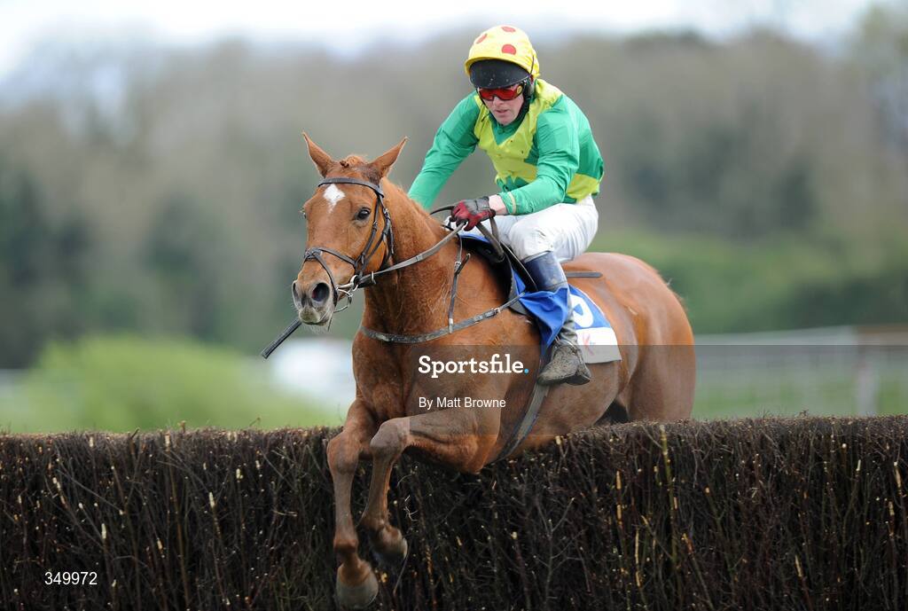 1 May 2009; Shin A Vee, with John Moore up, jumps the last on their way to winning the KFM Hunters Steeplechase For The Bishopscourt Cup. 2009 Punchestown Irish National Hunt Festival, Punchestown Racecourse, Co. Kildare. Picture credit: Matt Browne / SPORTSFILE