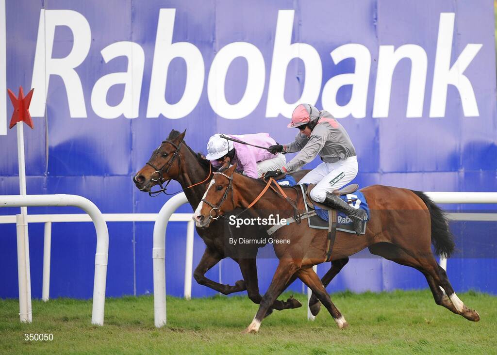 1 May 2009; Solwhit, left, with Davy Russell up, passes the finishing post to win the Rabobank Champion Hurdle from Punjabi, with Barry Geraghty up. 2009 Punchestown Irish National Hunt Festival, Punchestown Racecourse, Co. Kildare. Picture credit: Diarmuid Greene / SPORTSFILE