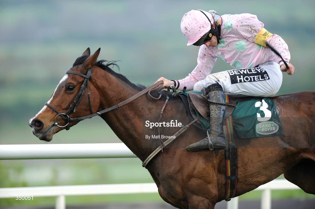 1 May 2009; Mikael D'Haguenet, with Ruby Walsh up, on their way to winning the Land Rover Champion Novice Hurdle after jumping the last. 2009 Punchestown Irish National Hunt Festival, Punchestown Racecourse, Co. Kildare. Picture credit: Matt Browne / SPORTSFILE