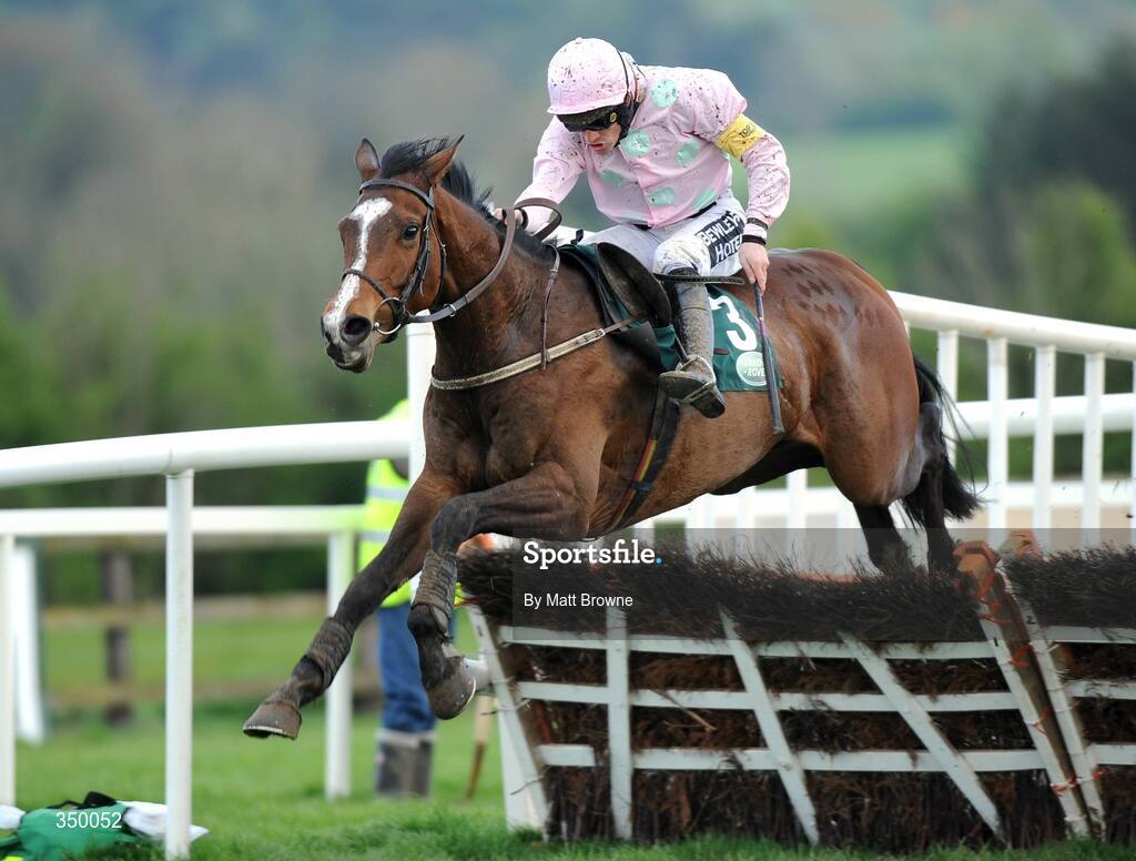 1 May 2009; Mikael D'Haguenet, with Ruby Walsh up, jumps the last on their way to winning the Land Rover Champion Novice Hurdle. 2009 Punchestown Irish National Hunt Festival, Punchestown Racecourse, Co. Kildare. Picture credit: Matt Browne / SPORTSFILE
