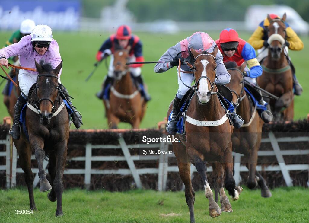 1 May 2009; Solwhit, left, with Davy Russell up, on their way to winning the Rabobank Champion Hurdle from second place Punjabi, centre, with Barry Geraghty up. 2009 Punchestown Irish National Hunt Festival, Punchestown Racecourse, Co. Kildare. Picture credit: Matt Browne / SPORTSFILE