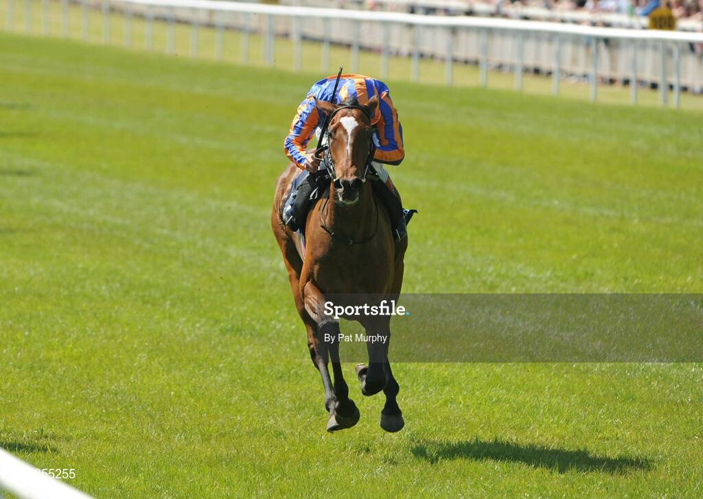 24 May 2009; Again, with Johnny Murtagh up, crosses the finish line to win the Boylesports.com Irish 1,000 Guineas. Boylesports.com Irish Guineas Festival 2009, Curragh Racecourse, Co. Kildare. Picture credit: Pat Murphy / SPORTSFILE