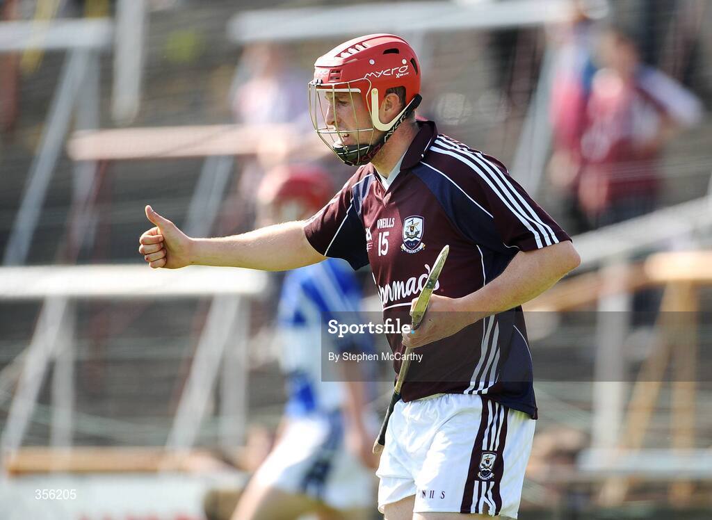 31 May 2009; Niall Healy, Galway, celebrates after scoring a goal. Leinster GAA Hurling Senior Championship Quarter-Final, Laois v Galway, O'Moore Park, Portlaoise, Co. Laois. Picture credit: Stephen McCarthy / SPORTSFILE