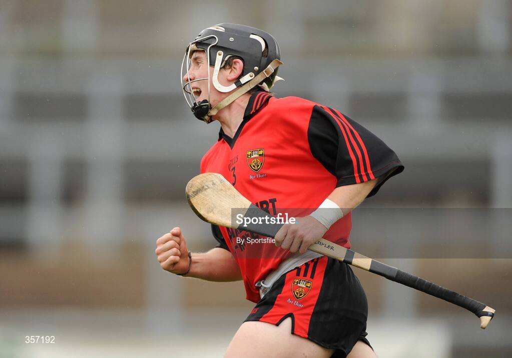 6 June 2009; James Coyle, Down, celebrates after scoring his side's second goal. Christy Ring Cup Semi-Final, Down v Mayo, Pairc Esler, Newry, Co. Down. Photo by Sportsfile