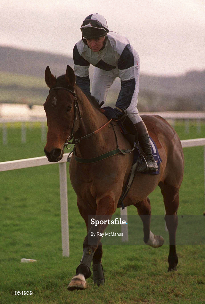 26 December 1999; Alexander Banquet, with Barry Geraghty up, go to post prior to the Denny Gold Medal Novice Steeplechase on Day One of the Leopardstown Christmas Festival at Leopardstown Racecourse in Dublin. Photo by Ray McManus/Sportsfile