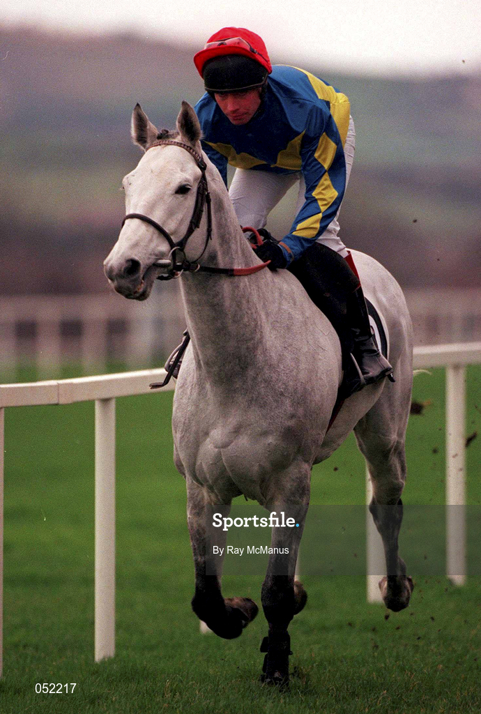 26 December 2000; Best Grey, with Jason Titley up go to post prior to the Kerry Spring Maiden Hurdle on Day One of the Leopardstown Christmas Festival at Leopardstown Racecourse in Dublin. Photo by Ray McManus/Sportsfile