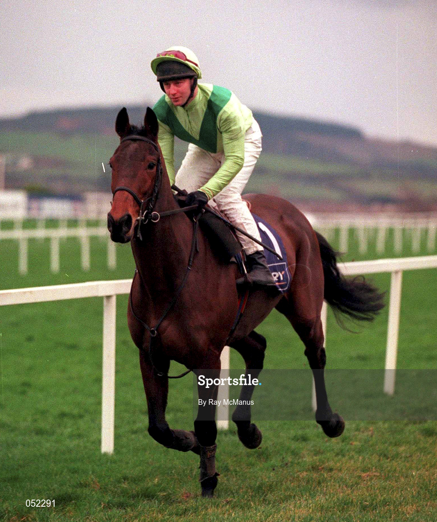26 December 2000; Alcapone, with David Casey up, goes to post prior to the Denny Gold Medal Novice Steeplechase on Day One of the Leopardstown Christmas Festival at Leopardstown Racecourse in Dublin. Photo by Ray McManus/Sportsfile
