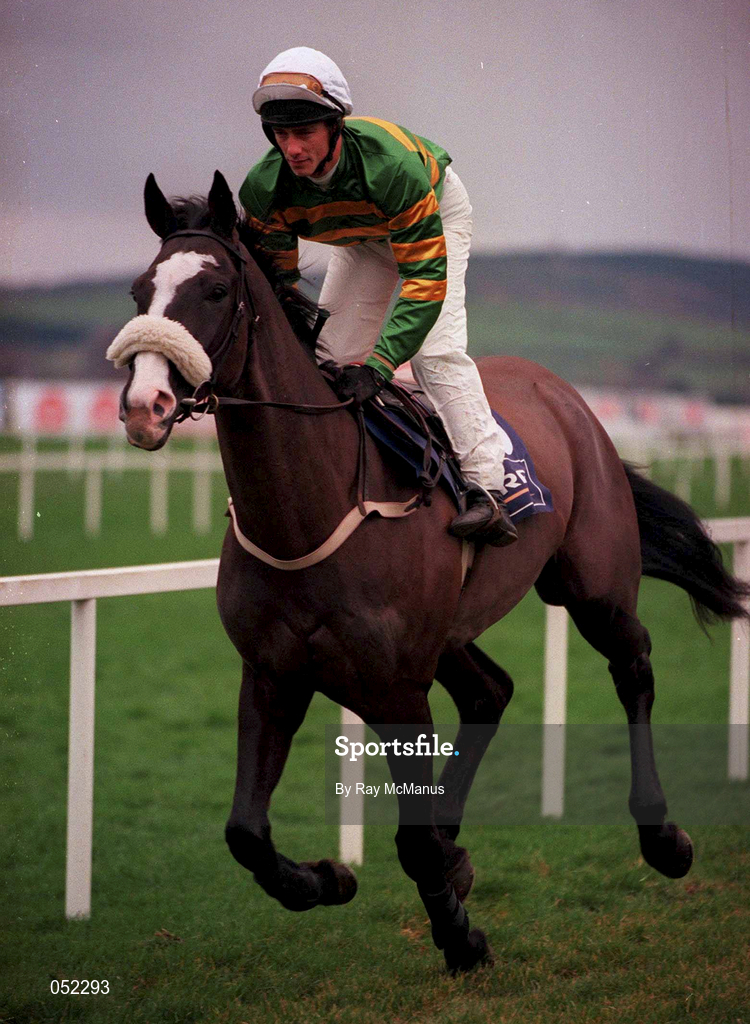 26 December 2000; Knife Edge, with Tom Rudd up, go to post prior to the Denny Gold Medal Novice Steeplechase on Day One of the Leopardstown Christmas Festival at Leopardstown Racecourse in Dublin. Photo by Ray McManus/Sportsfile